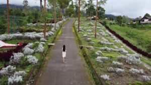Lembah Putih, mengulas cerita sejarah Taman Edelweis Bali