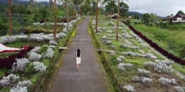 Lembah Putih, mengulas cerita sejarah Taman Edelweis Bali